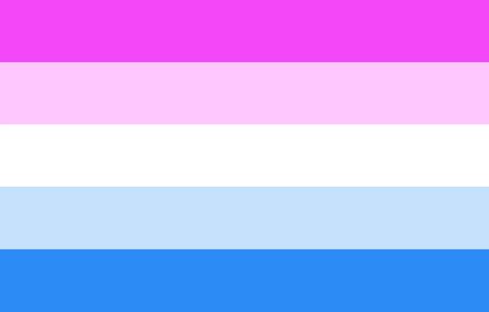 bicurious flag|The Bi Flag